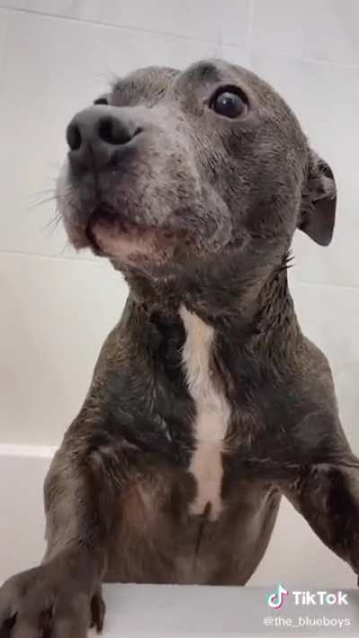 It’s to cute I can’t think of a title