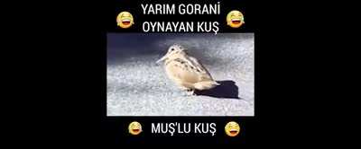 🤣