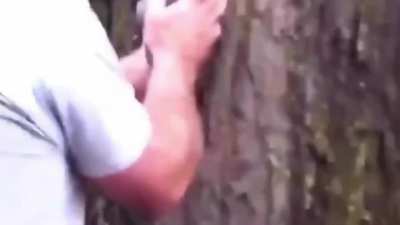 Releasing the squirrel