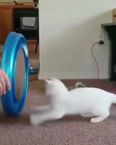 Round and round lol