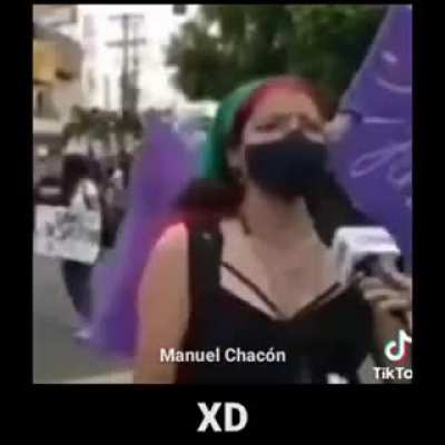 Feminista.exe a dejado de funcionar
