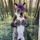 foxing_irl