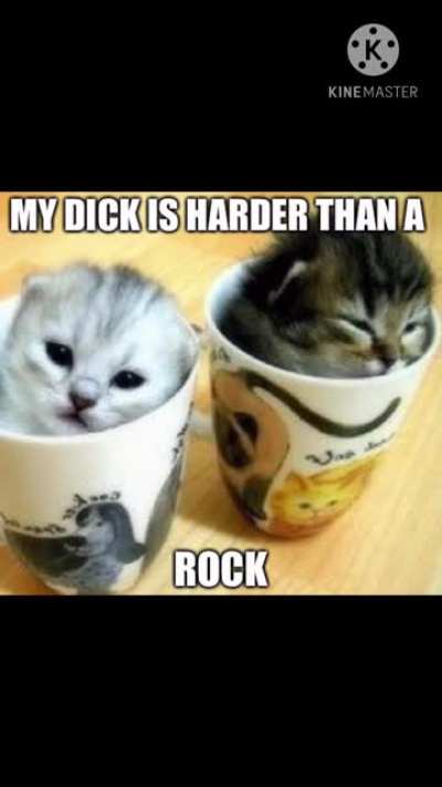 Kitty music