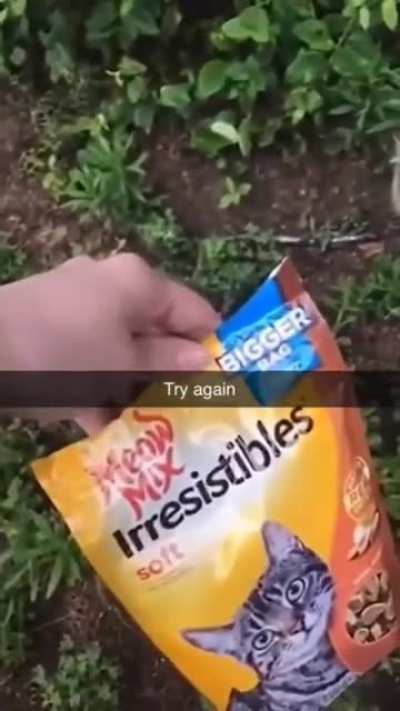 He doesn't want the mix