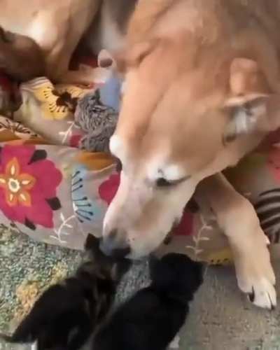 I think she's a mom now.