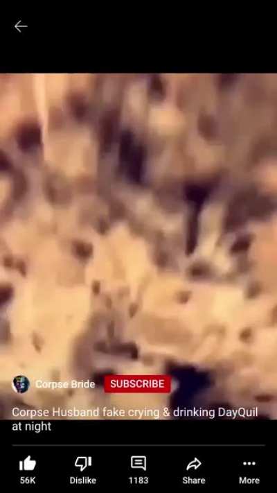 Corpse screams a lot (sorry for bad cropping)