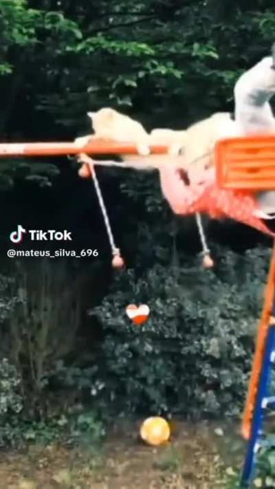Gato