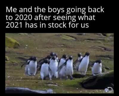 2020 be looking kindar thicc