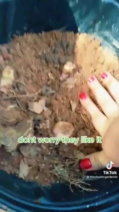 Planting sacks