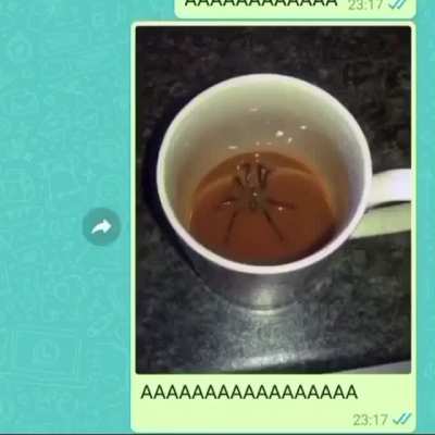 AAAAAAAAAAAAAAAAAAAAAAAAAA