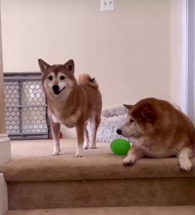 Boo-Boo ain’t having it