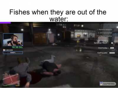 the fish is not having a good day