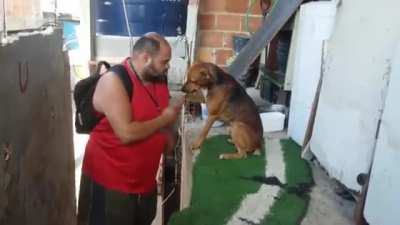 Dogs are the best people
