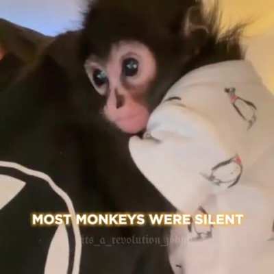 Mon 🔑 
