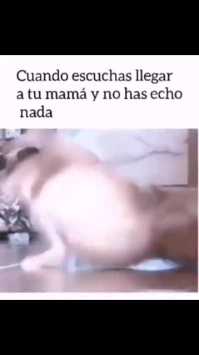 Super zi