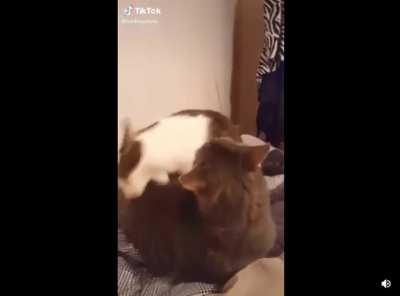 Nom