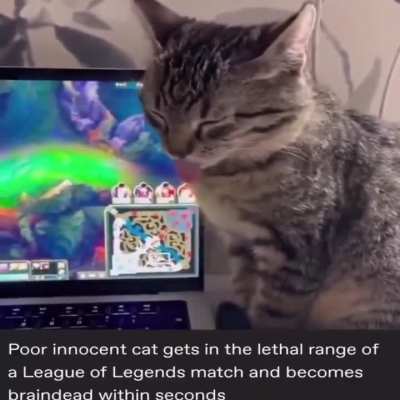 legegs