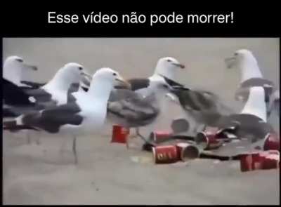 Old