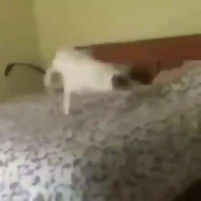 NOOOOO//