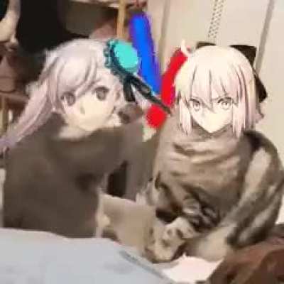Musashi asserting her dominance