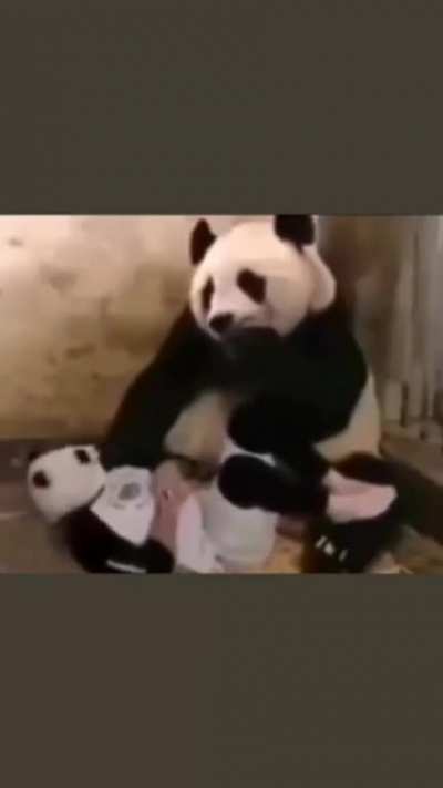ð¼