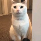 He's more of a jazz guy (sound)