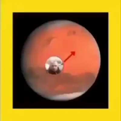 ‎