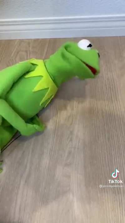 Enjoy