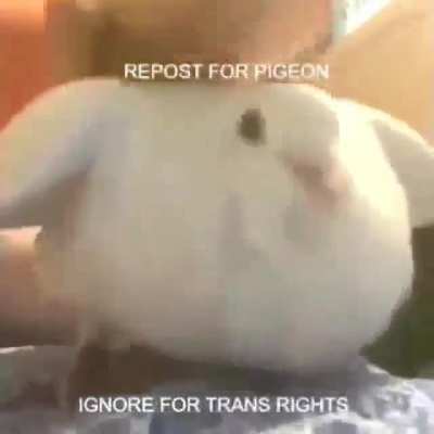 i better repost it
