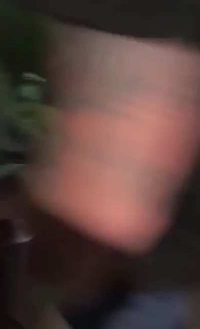 Please just watch this whole thing