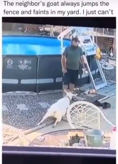 This goat