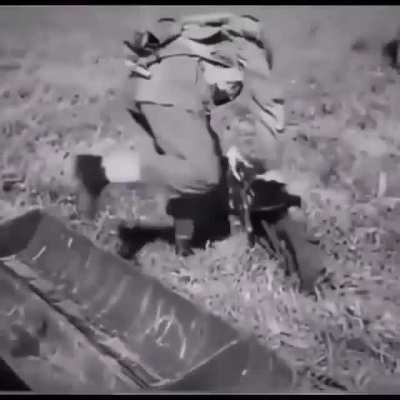 worldwar1pics