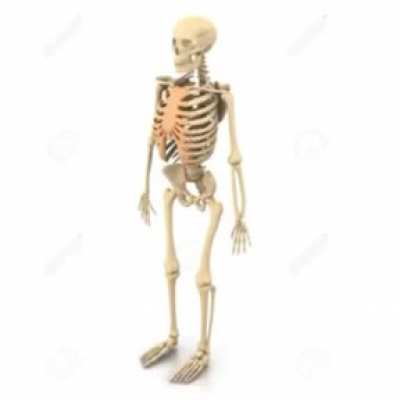 bone man