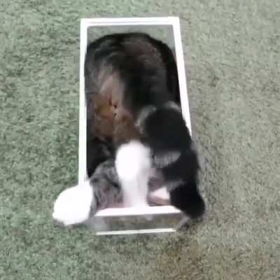 Strange liquid