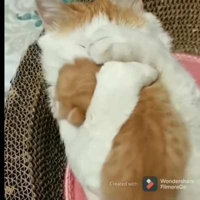 Hug and roll