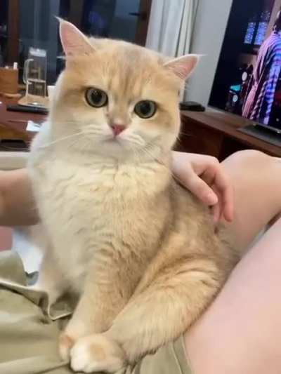 So little fluffy cute!