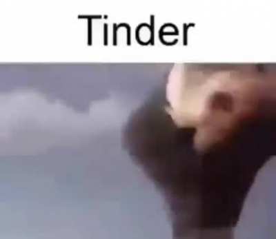 yes