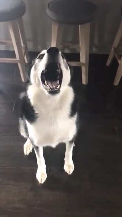 can't be in trouble if you can't hear what they're saying! 