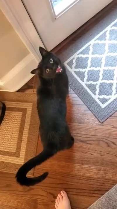 Let me out!
