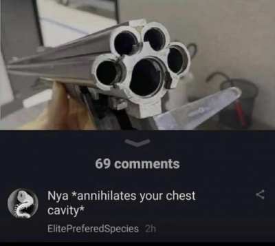 shotgun