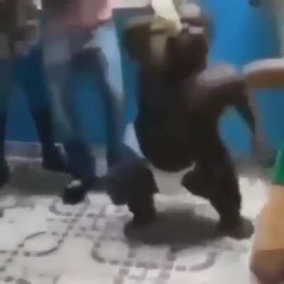 essa é a coisa mais linda que eu ja vi