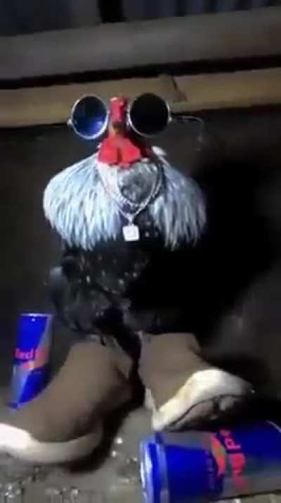 Ele tem o molho🤘