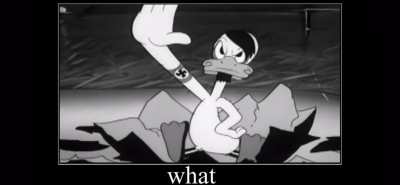 Bru what Donald be doing