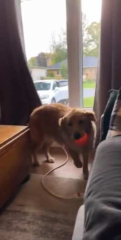 Momma’s home!