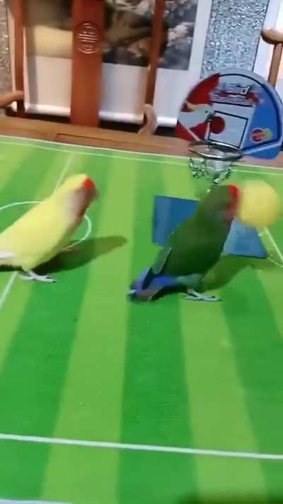 So amazing game 
