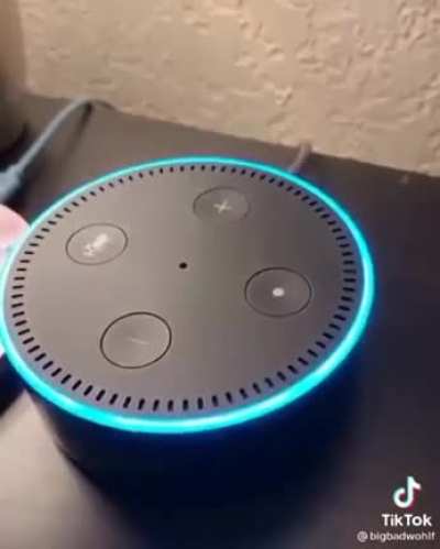 Un sonido de pedo (esta en ingles)