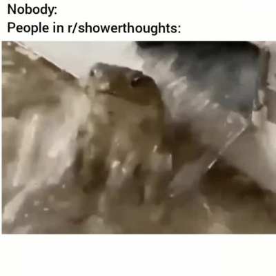 They be like dayummnn
