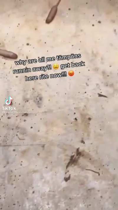 Thanks, I hate rat tailed maggots