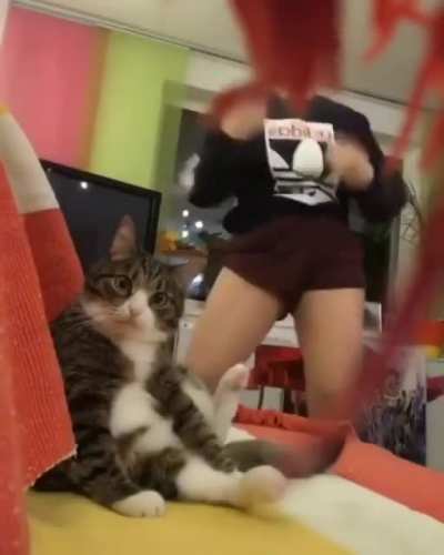 Ну вы его понимаете я думаю