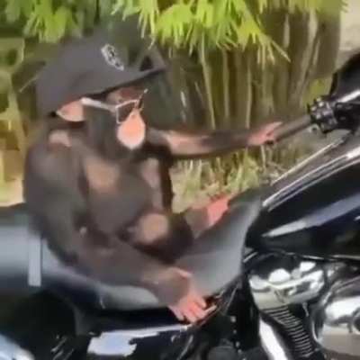 Motorcycle monke.